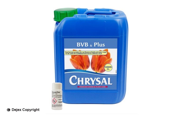 CHRYSAL BVB & PLUS 5lt (10 x 15ml PLUS)