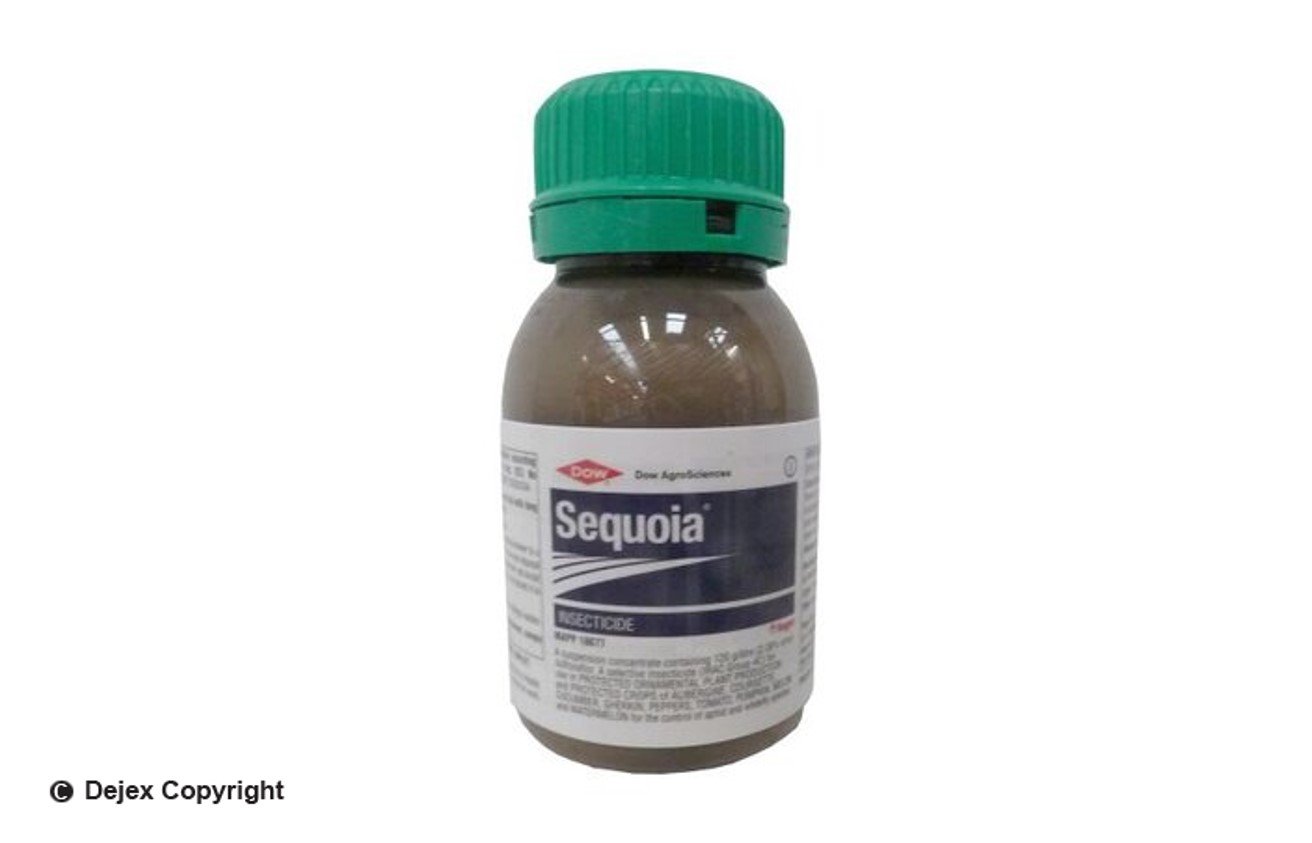 SEQUOIA 250ml