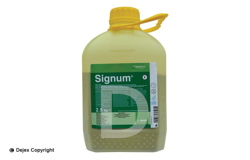 SIGNUM 2.5Kg