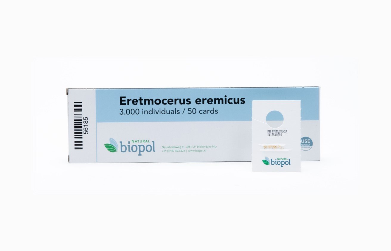 Eretmocerus eremicus - 3.000 pupae / 10 strips / 50 cards