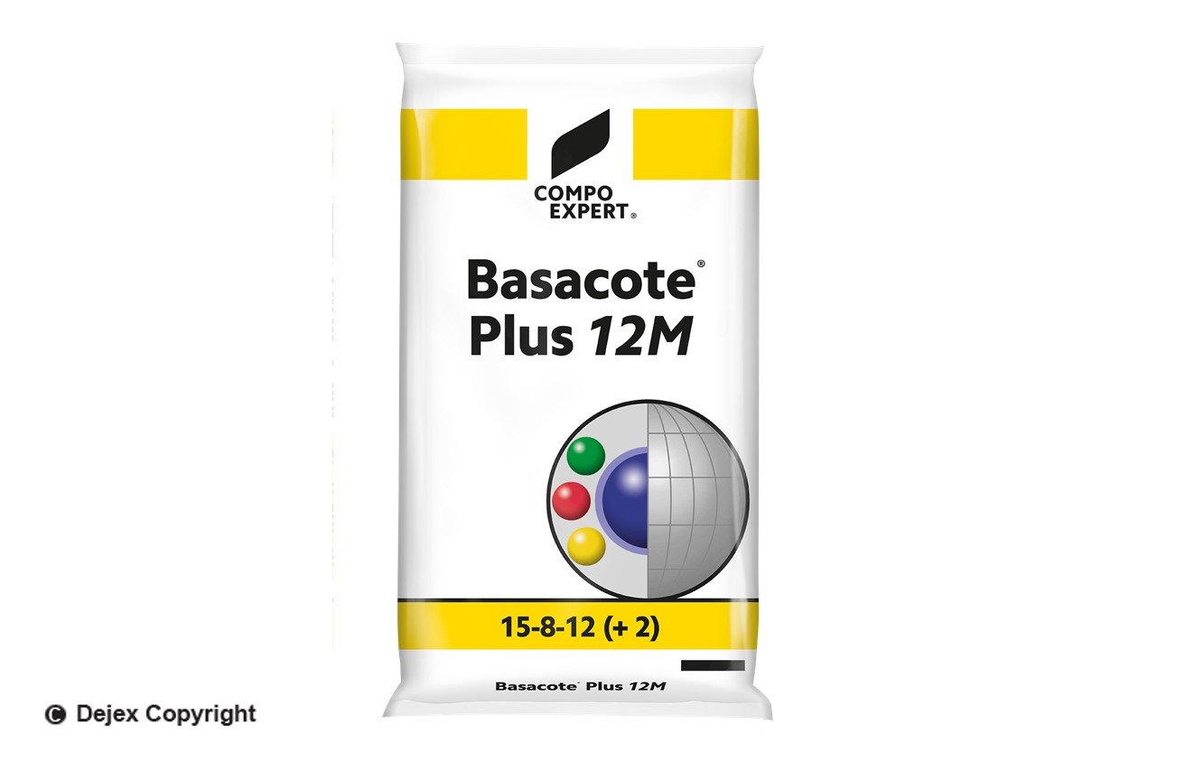 BASACOTE PLUS 12M 15-08-12 (+2MgO+TE)