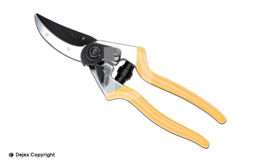 LEYAT 1917 TRADITION PRUNER